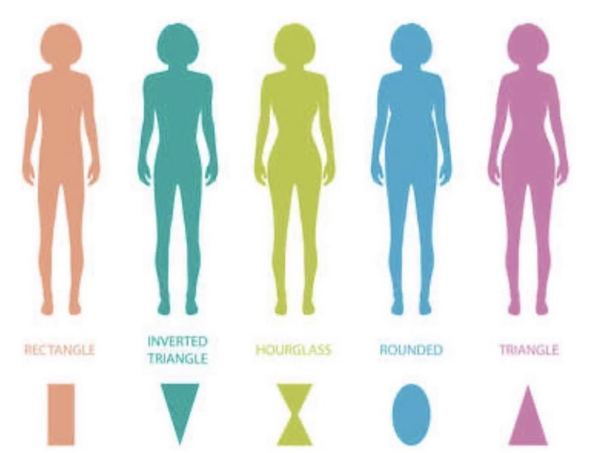 six different female body shapes