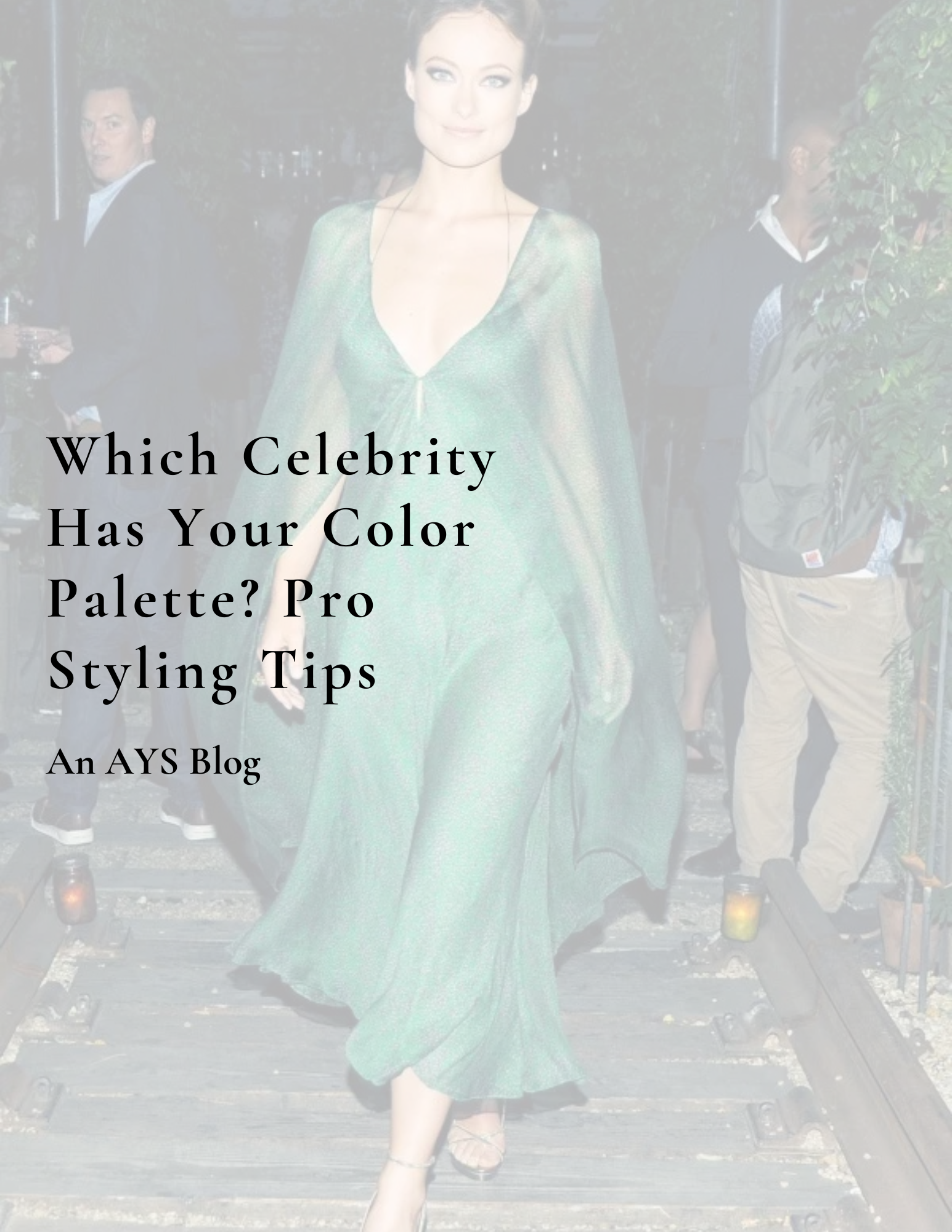 best palette celebrities outfit styling